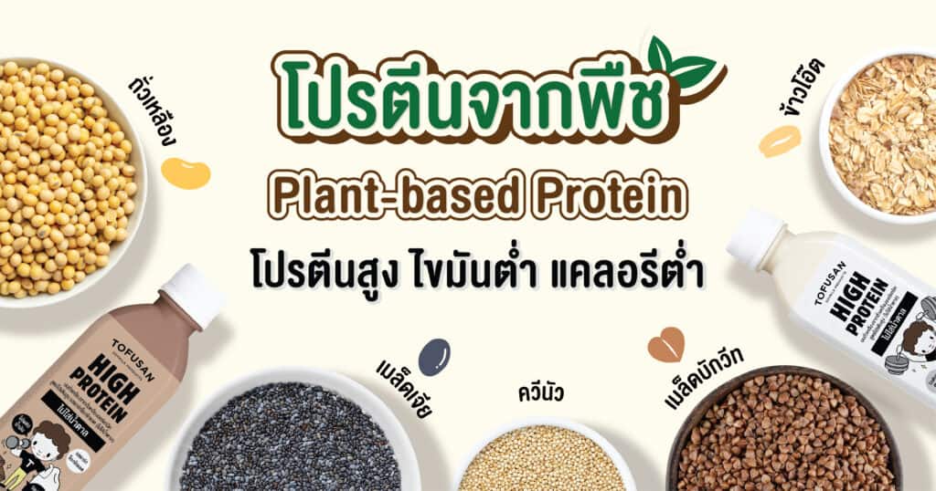 โปรตีนจากพืช plant based